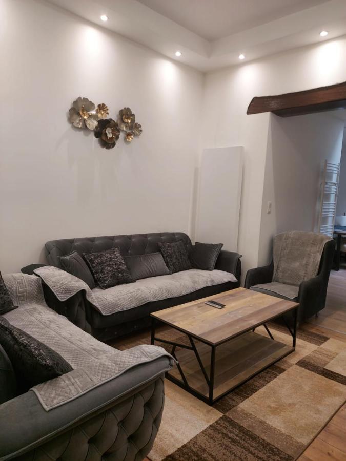 Maison Fontaine Du Saxophone 迪南 外观 照片